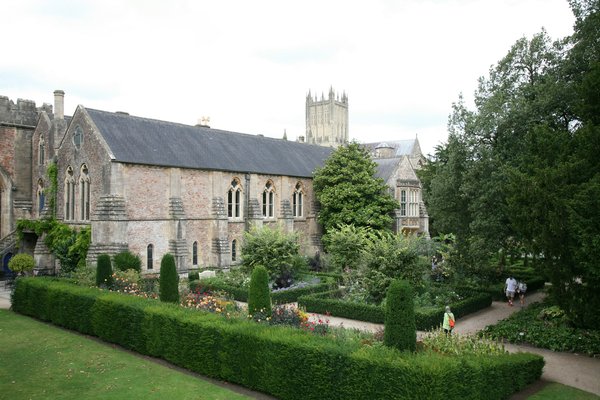 How Do You Set Up a Heat Retention System for an Outdoor UK Tropical Plant Garden?