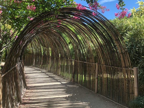 How to Develop a Butterfly Garden With Native UK Plants?